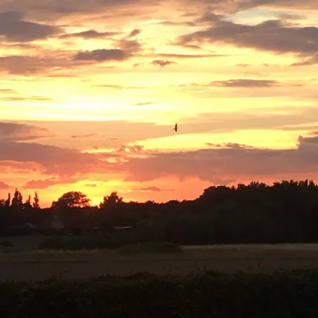 Affittacamere Thuro Rev