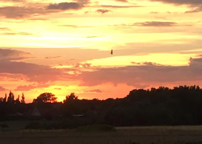 Vendégház Thuro Rev